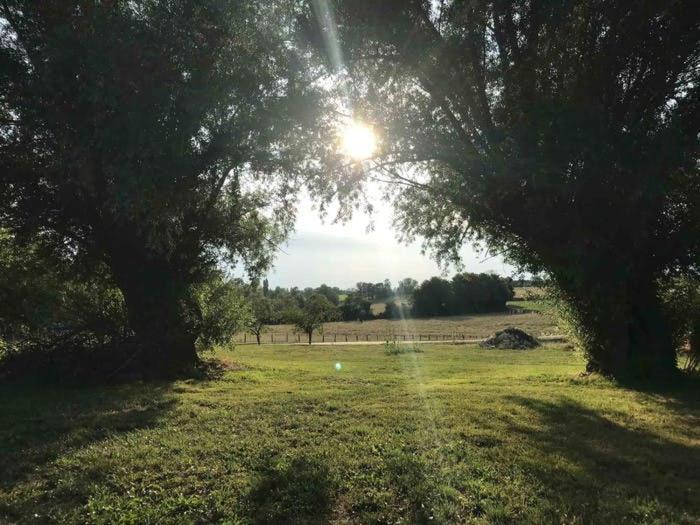 La Grange A Outeaux Bed & Breakfast Montpont-en-Bresse Bagian luar foto